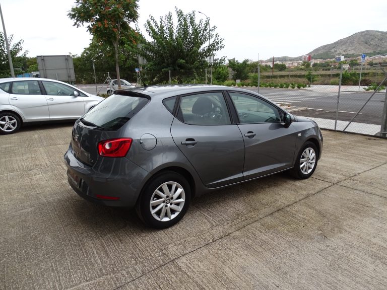 Seat ibiza 1.6 Tdi 105 cv